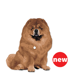 Chow Chow